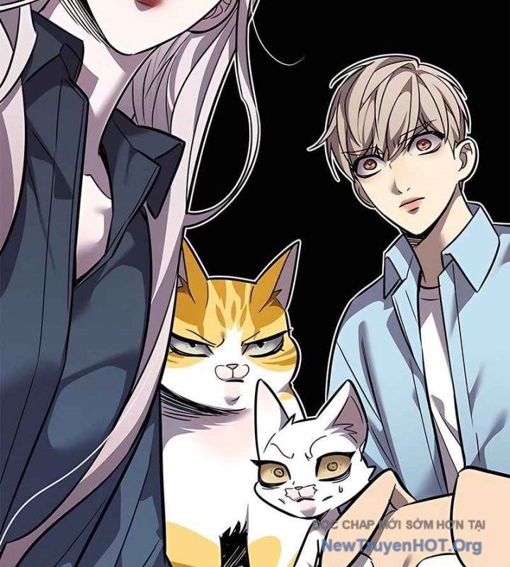 Hoá Thân Thành Mèo Chap 370 - Next Chap 371