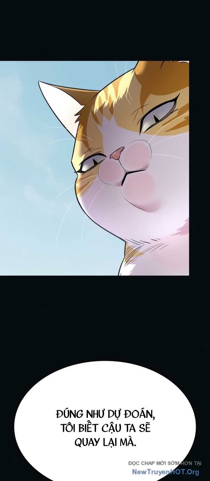 Hoá Thân Thành Mèo Chap 371 - Next Chap 372