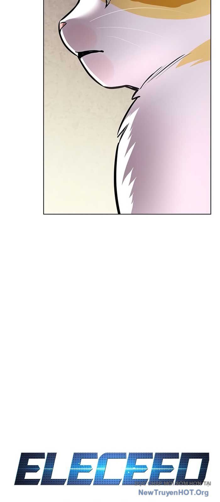 Hoá Thân Thành Mèo Chap 371 - Next Chap 372