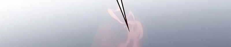 Hoá Thân Thành Mèo Chap 320 - Next Chap 321