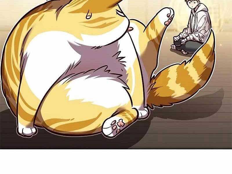 Hoá Thân Thành Mèo Chap 325 - Next Chap 326