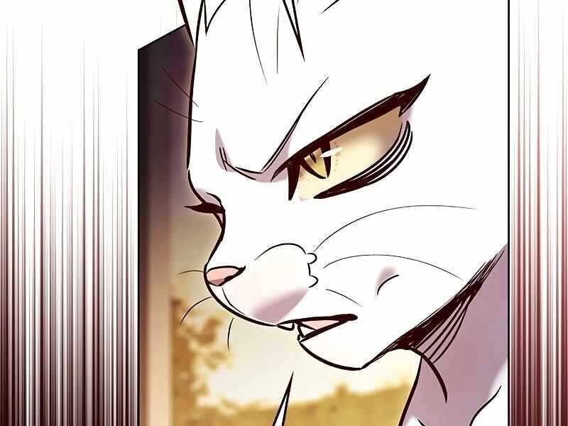 Hoá Thân Thành Mèo Chap 325 - Next Chap 326