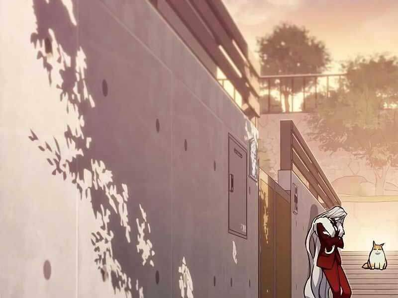 Hoá Thân Thành Mèo Chap 325 - Next Chap 326