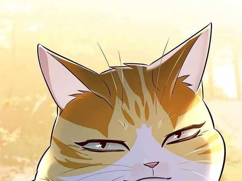 Hoá Thân Thành Mèo Chap 325 - Next Chap 326