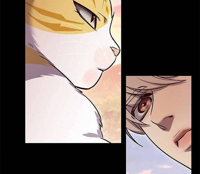 Hoá Thân Thành Mèo Chap 326 - Next Chap 327