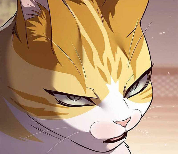 Hoá Thân Thành Mèo Chap 326 - Next Chap 327