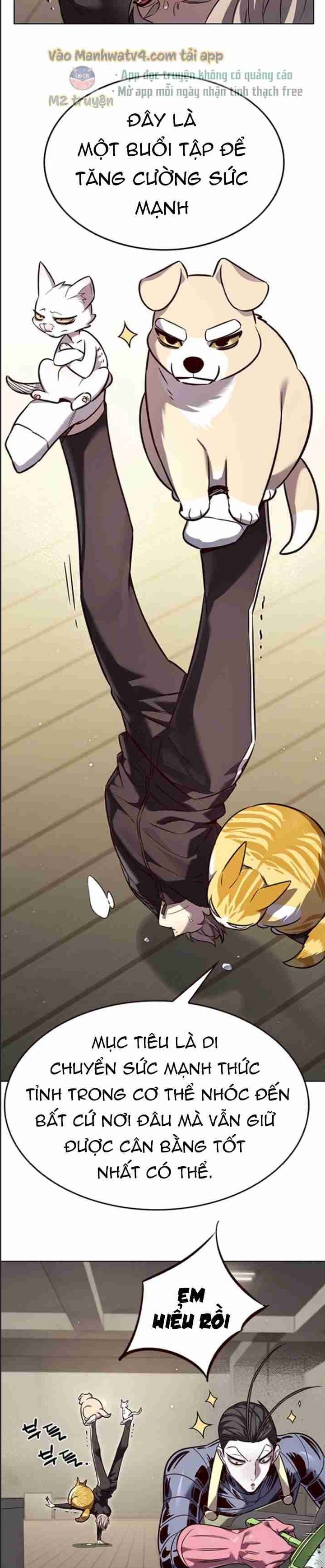 Hoá Thân Thành Mèo Chap 327 - Next Chap 328