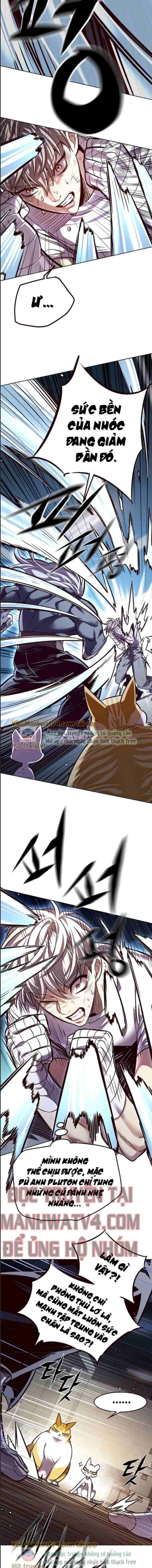 Hoá Thân Thành Mèo Chap 328 - Next Chap 329