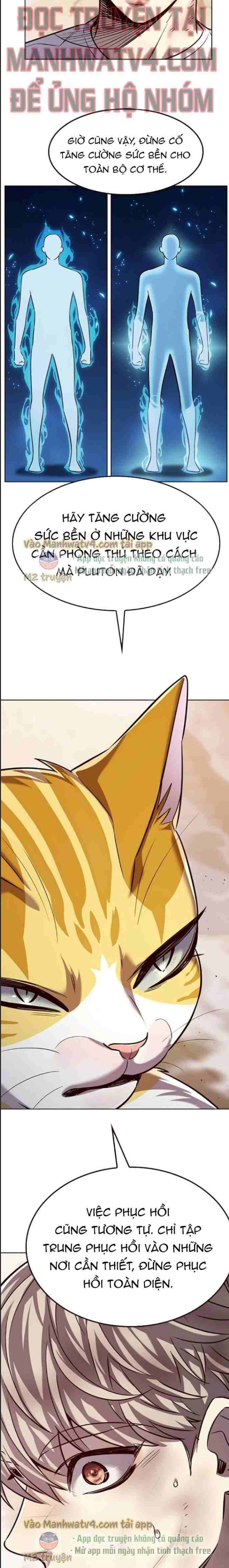 Hoá Thân Thành Mèo Chap 328 - Next Chap 329