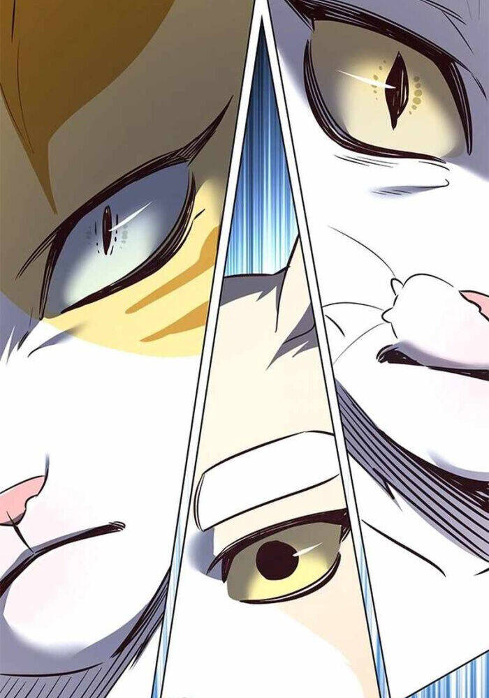 Hoá Thân Thành Mèo Chap 330 - Next Chap 331