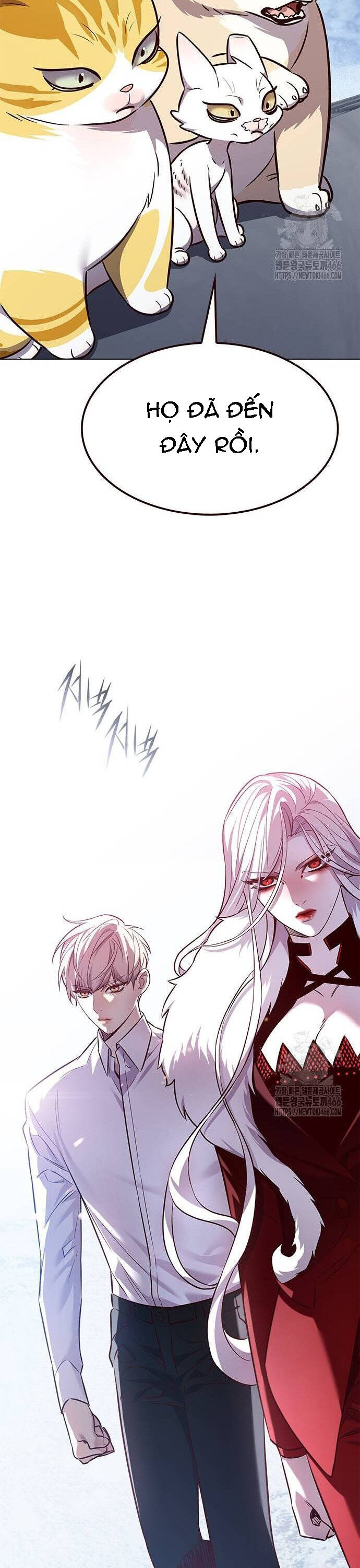 Hoá Thân Thành Mèo Chap 331 - Next Chap 332