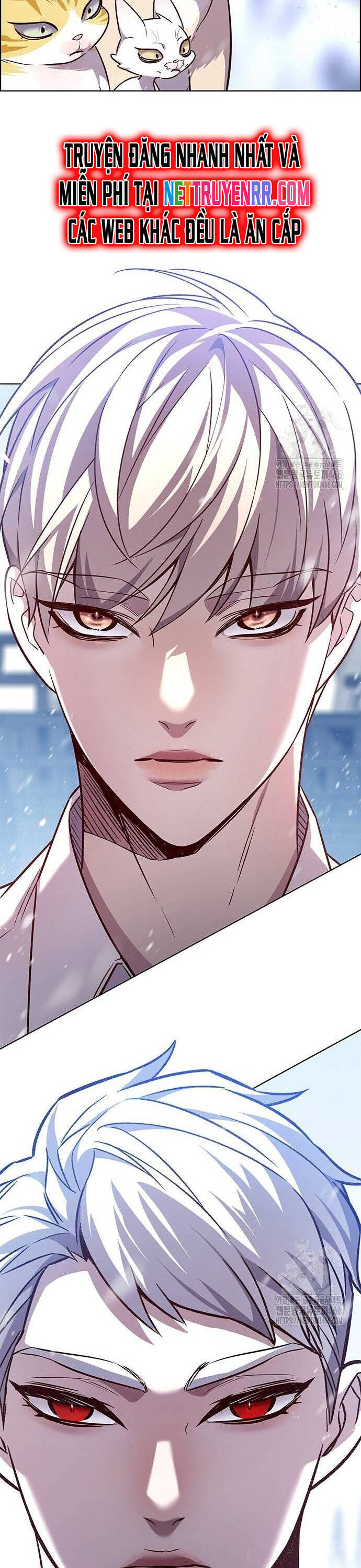 Hoá Thân Thành Mèo Chap 331 - Next Chap 332