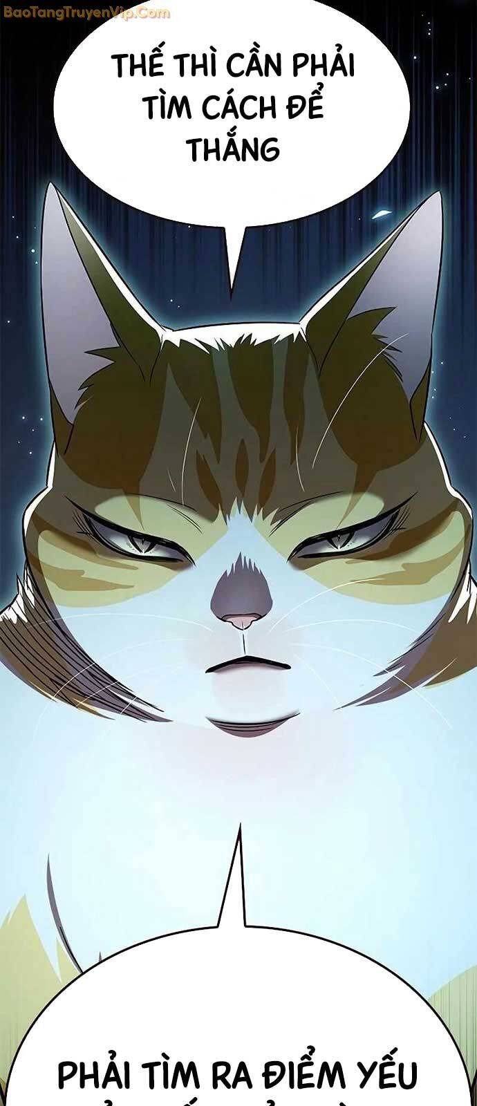 Hoá Thân Thành Mèo Chap 334 - Next Chap 335