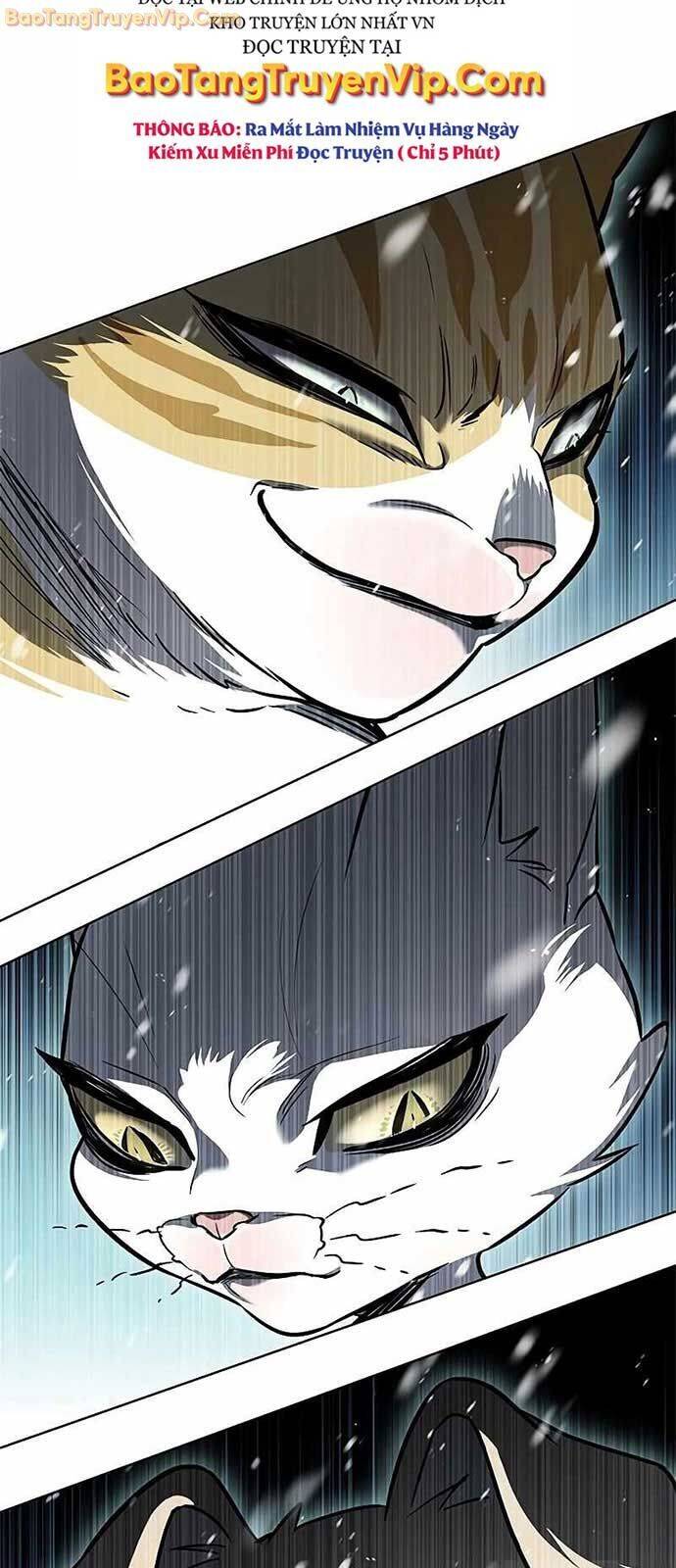 Hoá Thân Thành Mèo Chap 334 - Next Chap 335