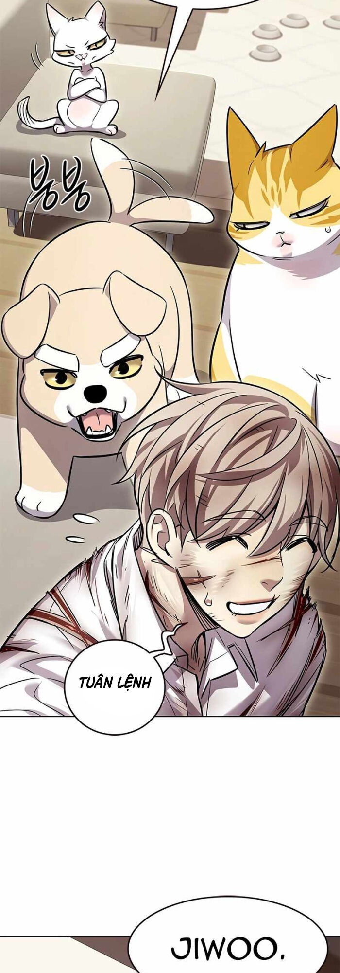 Hoá Thân Thành Mèo Chap 336 - Next Chap 337