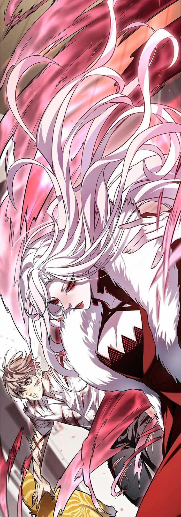 Hoá Thân Thành Mèo Chap 336 - Next Chap 337