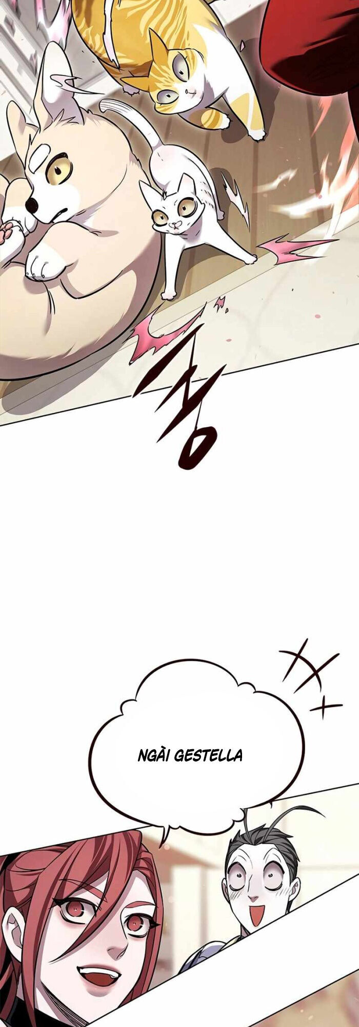 Hoá Thân Thành Mèo Chap 336 - Next Chap 337