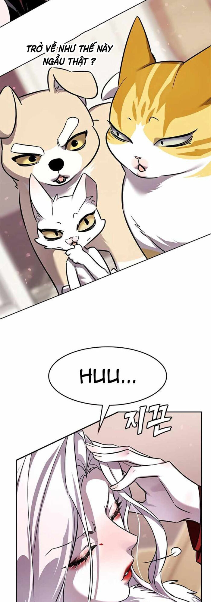 Hoá Thân Thành Mèo Chap 336 - Next Chap 337