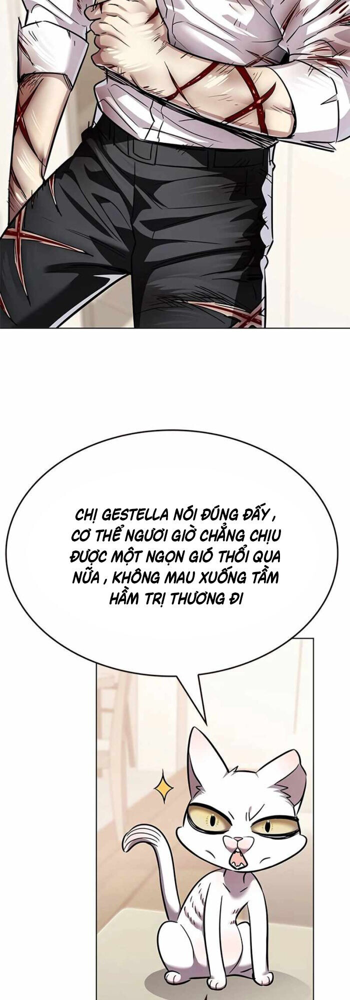 Hoá Thân Thành Mèo Chap 336 - Next Chap 337
