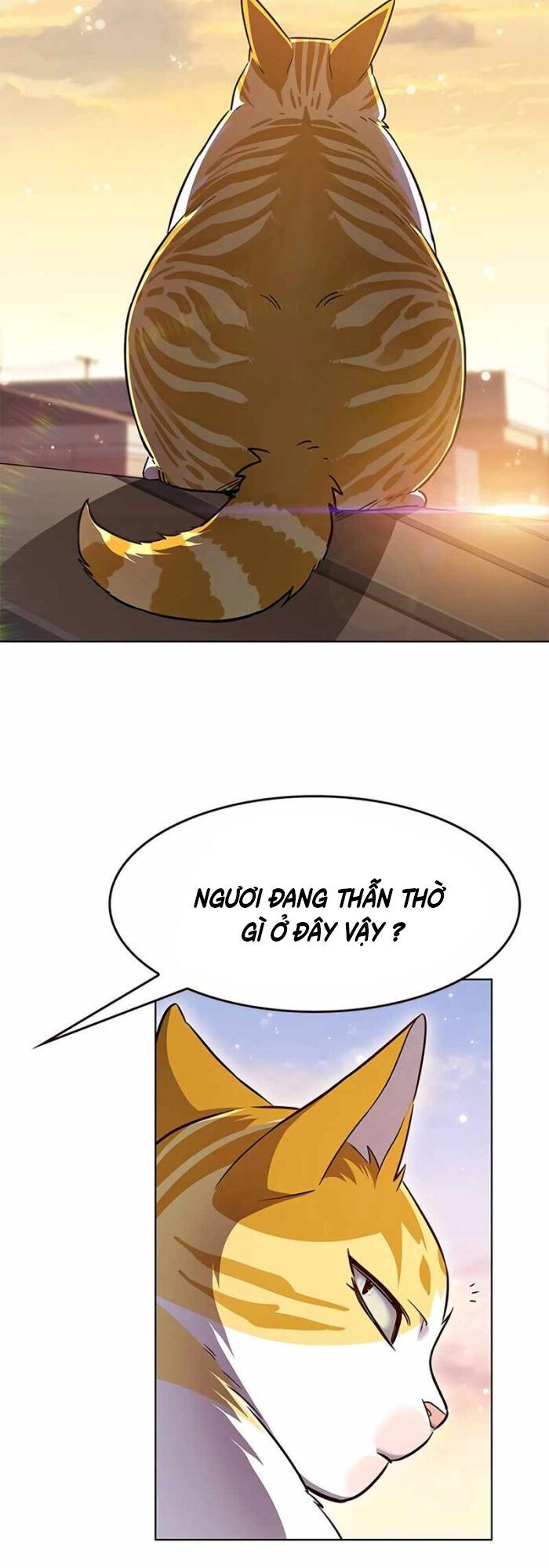 Hoá Thân Thành Mèo Chap 336 - Next Chap 337