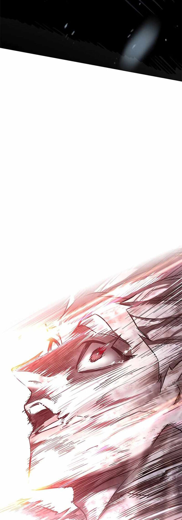 Hoá Thân Thành Mèo Chap 336 - Next Chap 337