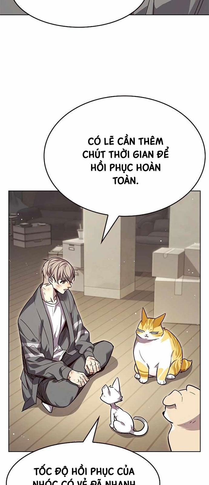 Hoá Thân Thành Mèo Chap 337 - Next Chap 338