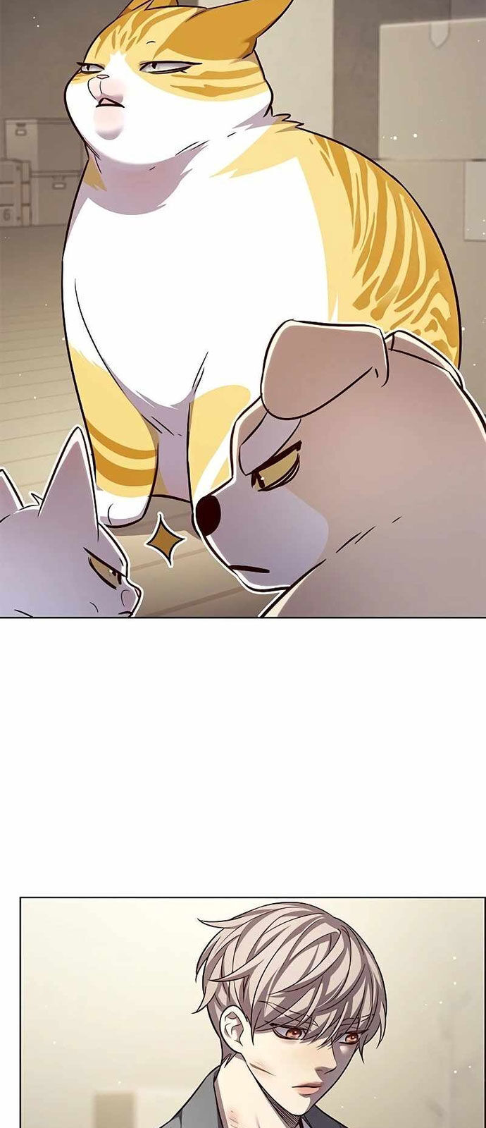 Hoá Thân Thành Mèo Chap 337 - Next Chap 338