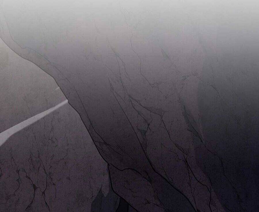 Ánh Sáng Cuối Con Đường Chap 204 - Next Chap 205