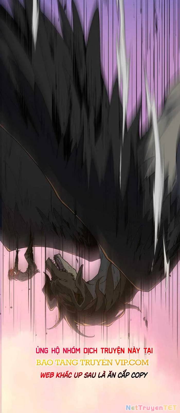 Ánh Sáng Cuối Con Đường Chap 215 - Next Chap 216