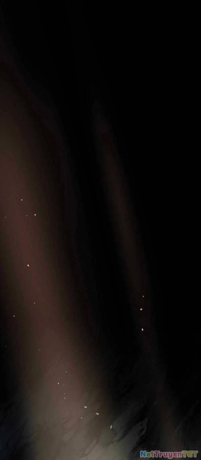 Ánh Sáng Cuối Con Đường Chap 215 - Next Chap 216