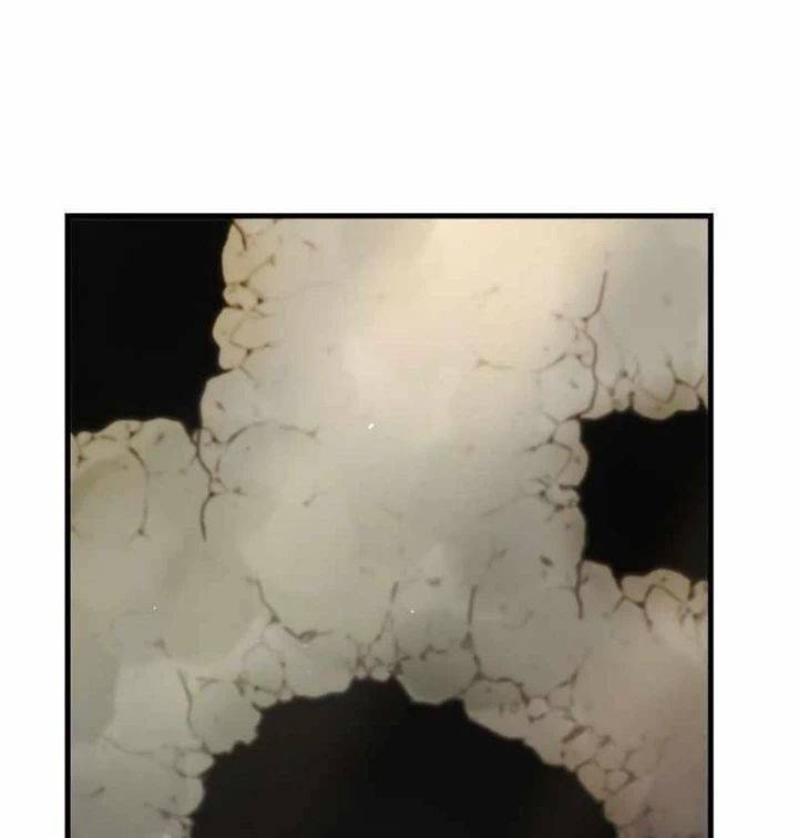 Bác Sĩ Trùng Sinh Về Murim Chap 144 - Next Chap 145