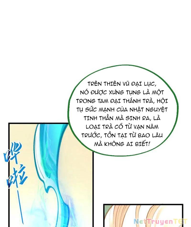 Vạn Cổ Chí Tôn Chap 389 - Next Chap 390