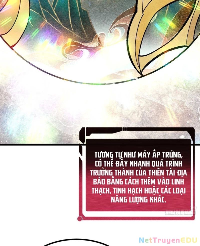 Vạn Cổ Tối Cường Tông Chap 399 - Next Chap 400