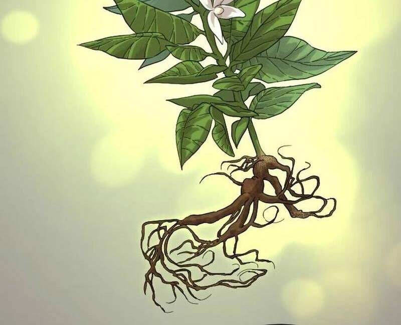 Hoa Sơn Tái Khởi Chap 115 - Next Chap 116