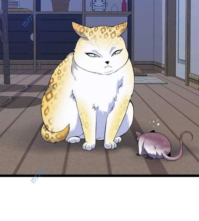 Thiên Phú Của Ngươi, Giờ Là Của Ta Chap 85 - Next Chap 86