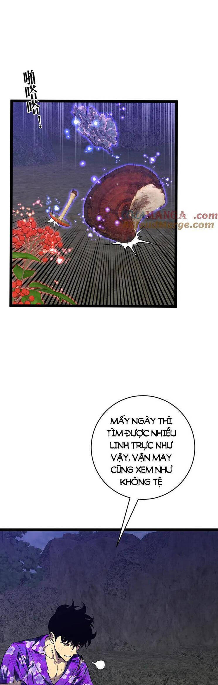 Thiên Phú Của Ngươi, Giờ Là Của Ta Chap 75 - Next Chap 76