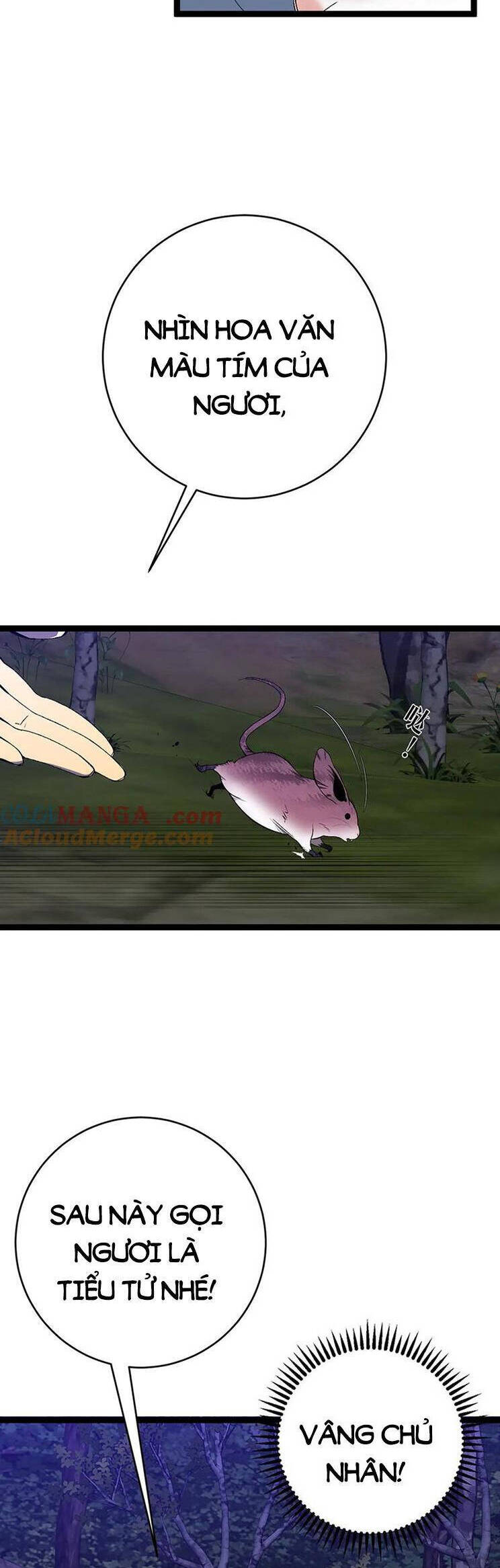 Thiên Phú Của Ngươi, Giờ Là Của Ta Chap 76 - Next Chap 77