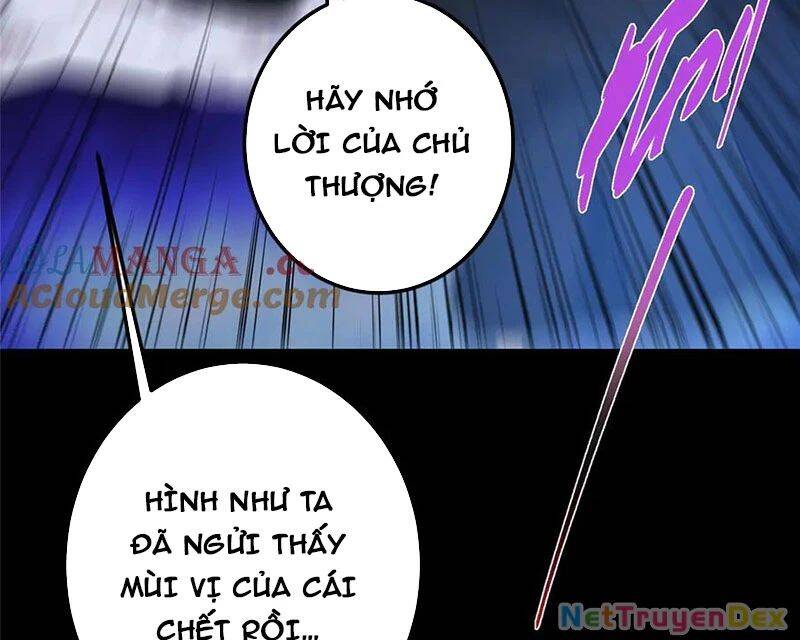 Chưởng Môn Khiêm Tốn Chút Chap 456 - Next Chap 457