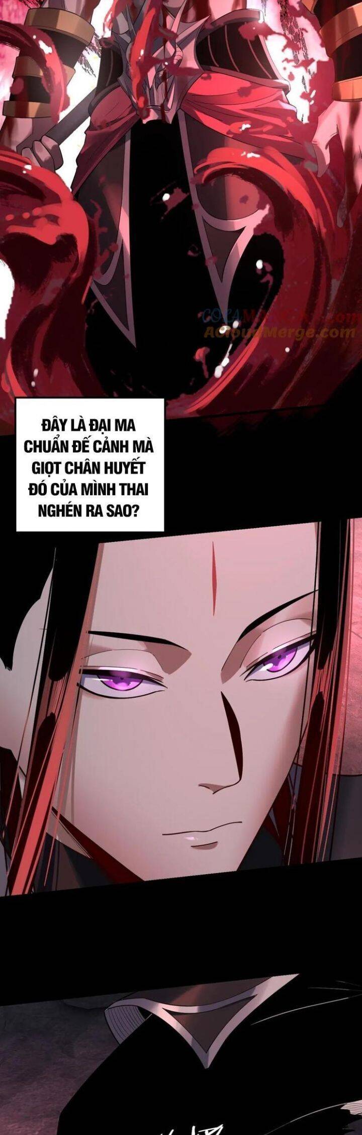 Ta Trời Sinh Đã Là Nhân Vật Phản Diện Chap 248 - Next Chap 249