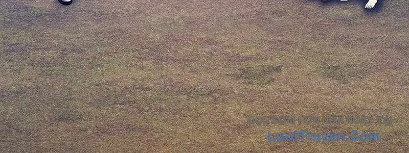 Gậy Gỗ Cấp 99+ Chap 163 - Next Chap 164