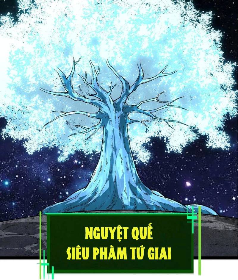 Chuyển Sinh Thành Liễu Đột Biến Chap 251 - Next Chap 252