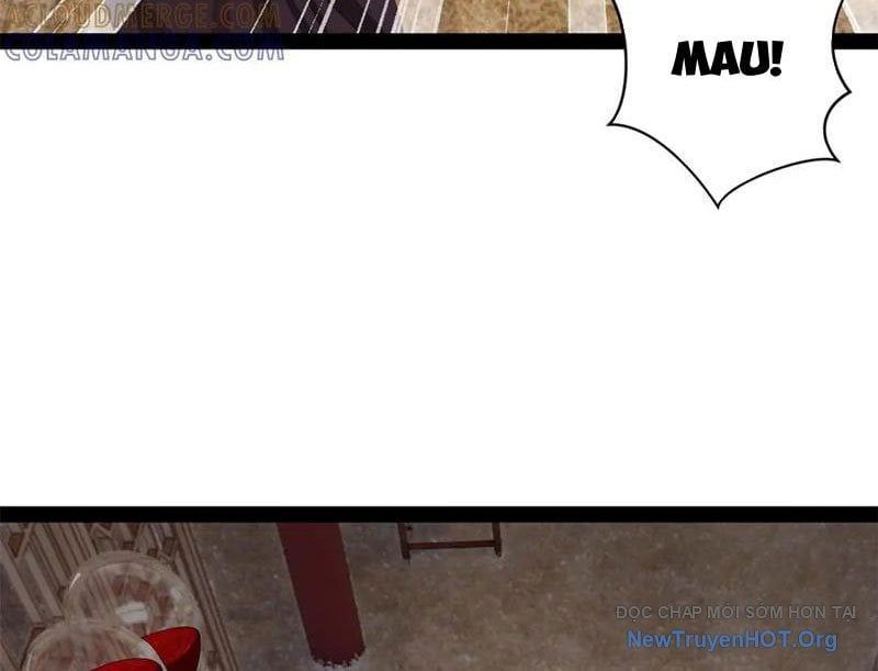 Chàng Rể Mạnh Nhất Lịch Sử Chàng Rể Mạnh Nhất Lịch Sử Chap 319 - Next Chap 320