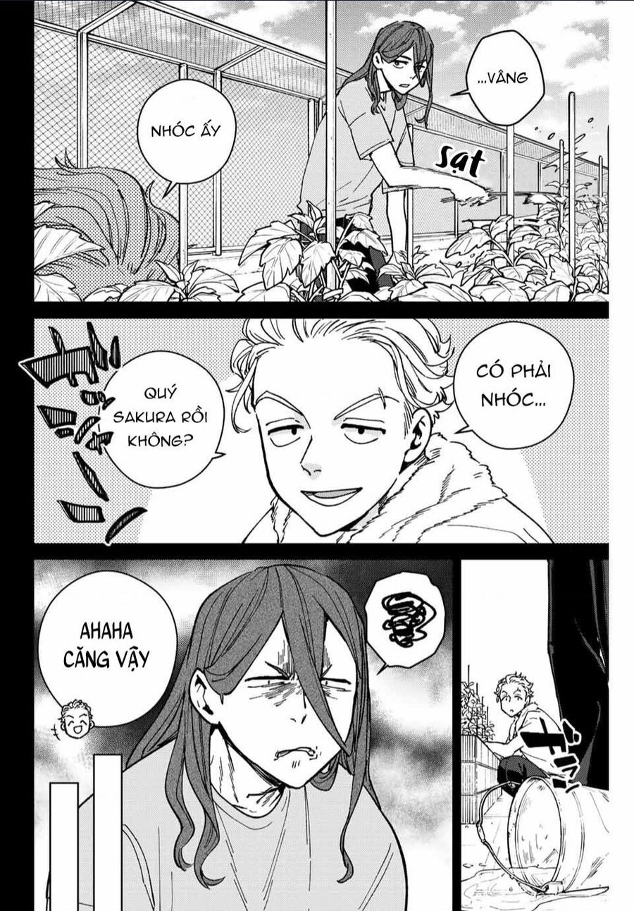 Wind Breaker (Nii Satoru) Chap 112 - Next Chap 113