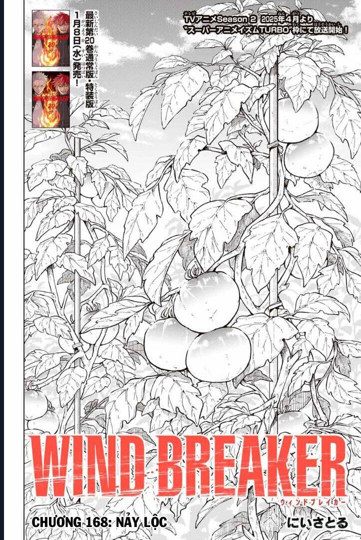 Wind Breaker (Nii Satoru) Chap 168 - Next Chap 169