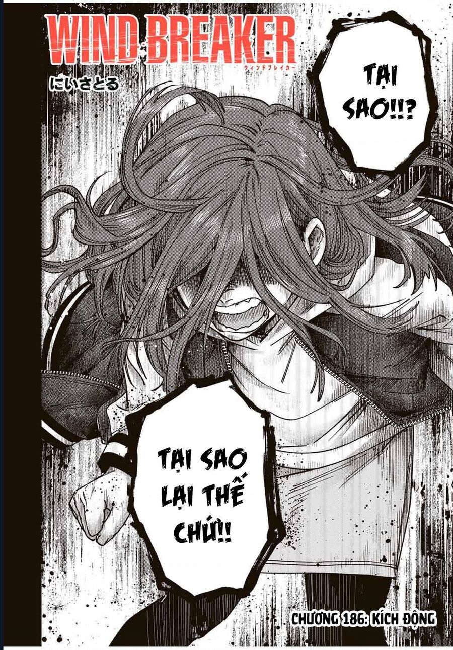 Wind Breaker (Nii Satoru) Chap 186 - Next Chap 187