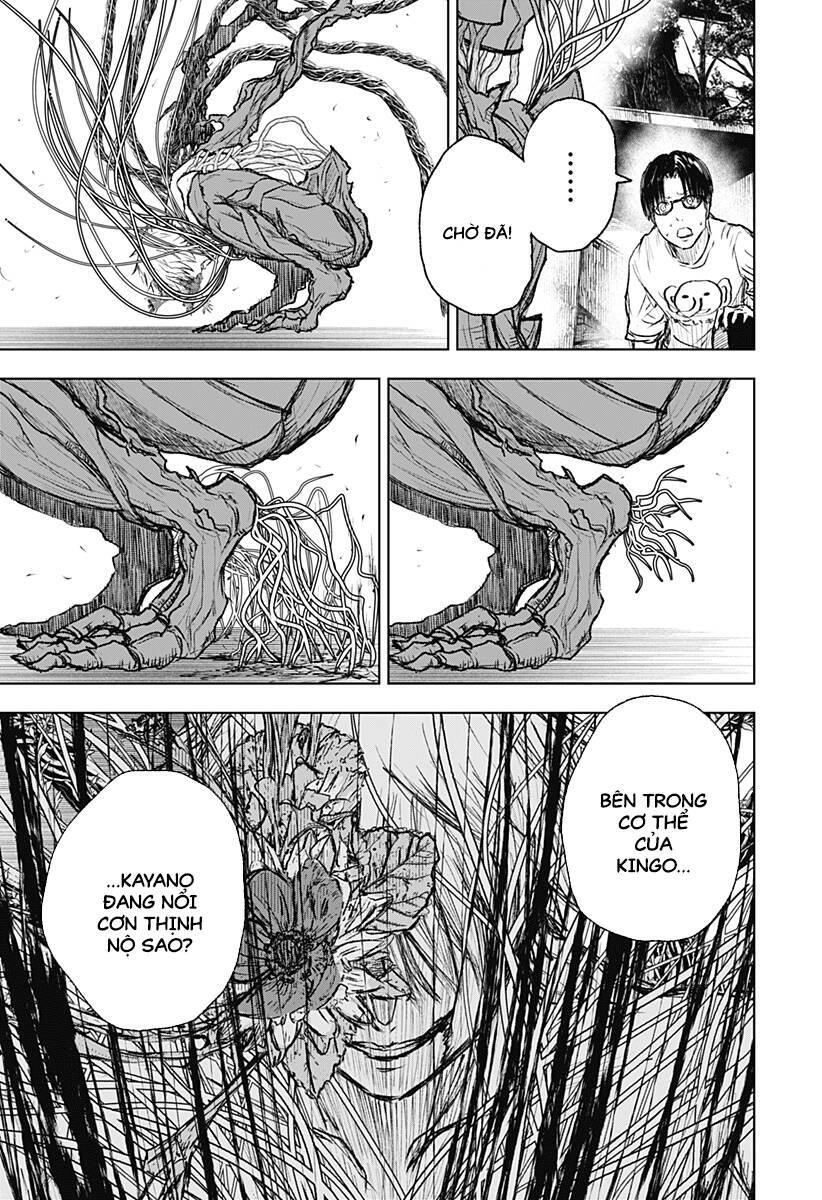 Wild Strawberry Chap 5 - Next Chap 6