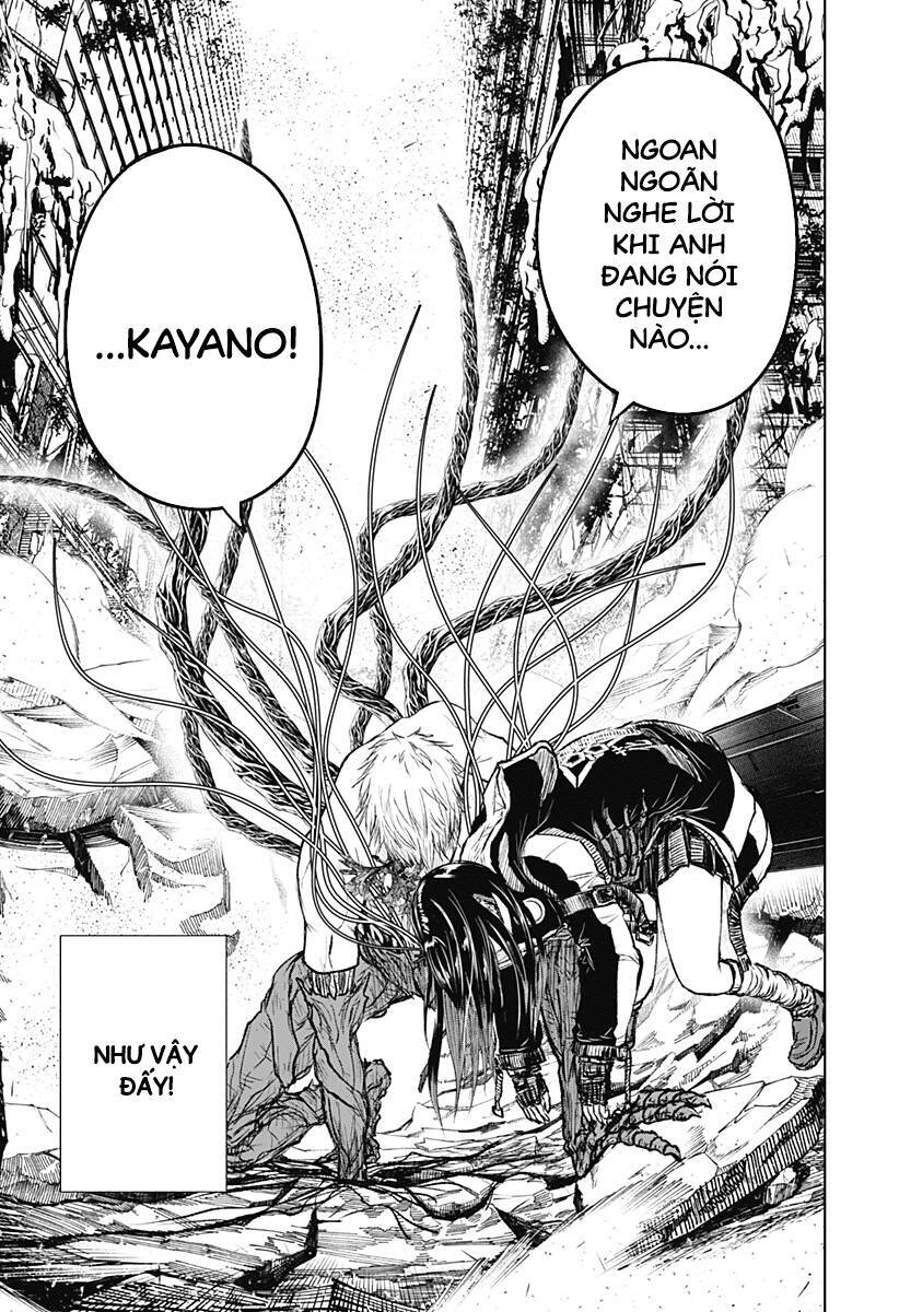 Wild Strawberry Chap 5 - Next Chap 6