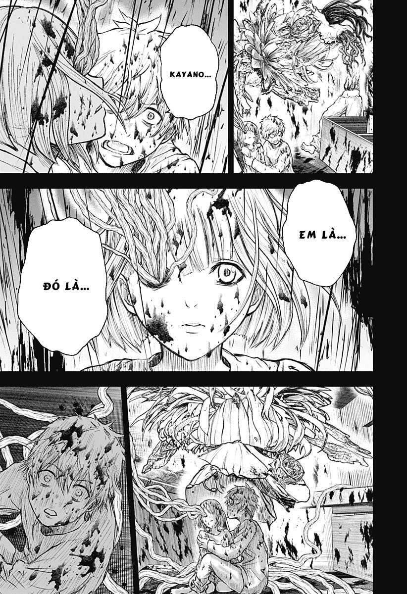 Wild Strawberry Chap 1 - Next Chap 2