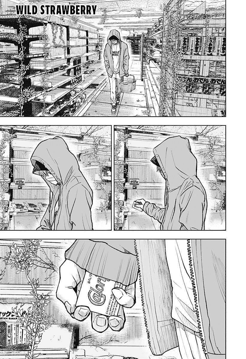Wild Strawberry Chap 1 - Next Chap 2