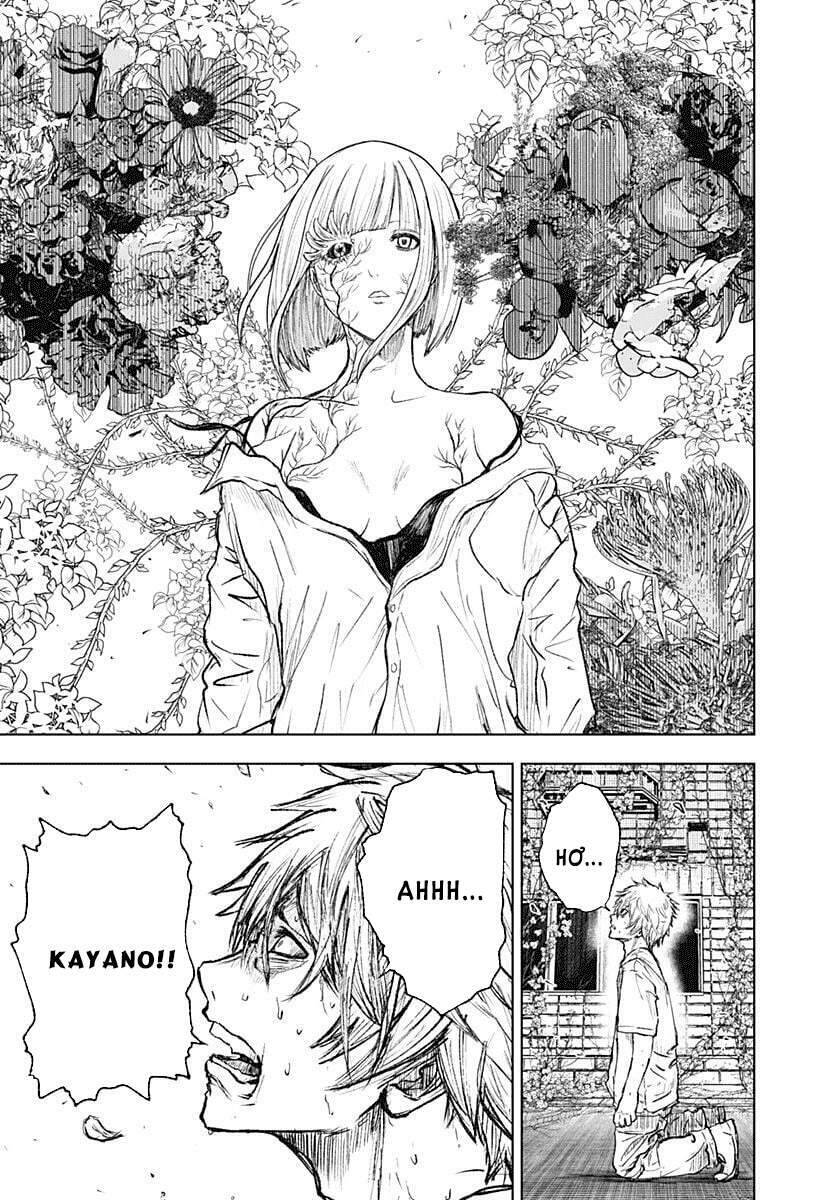 Wild Strawberry Chap 1 - Next Chap 2